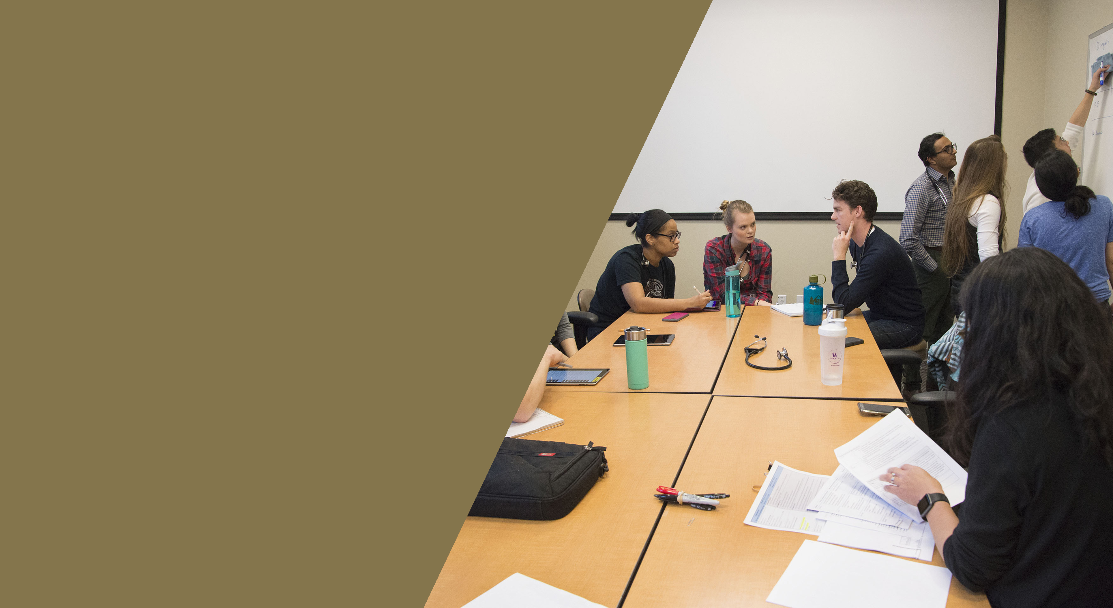 Student IPE<br/>Programs