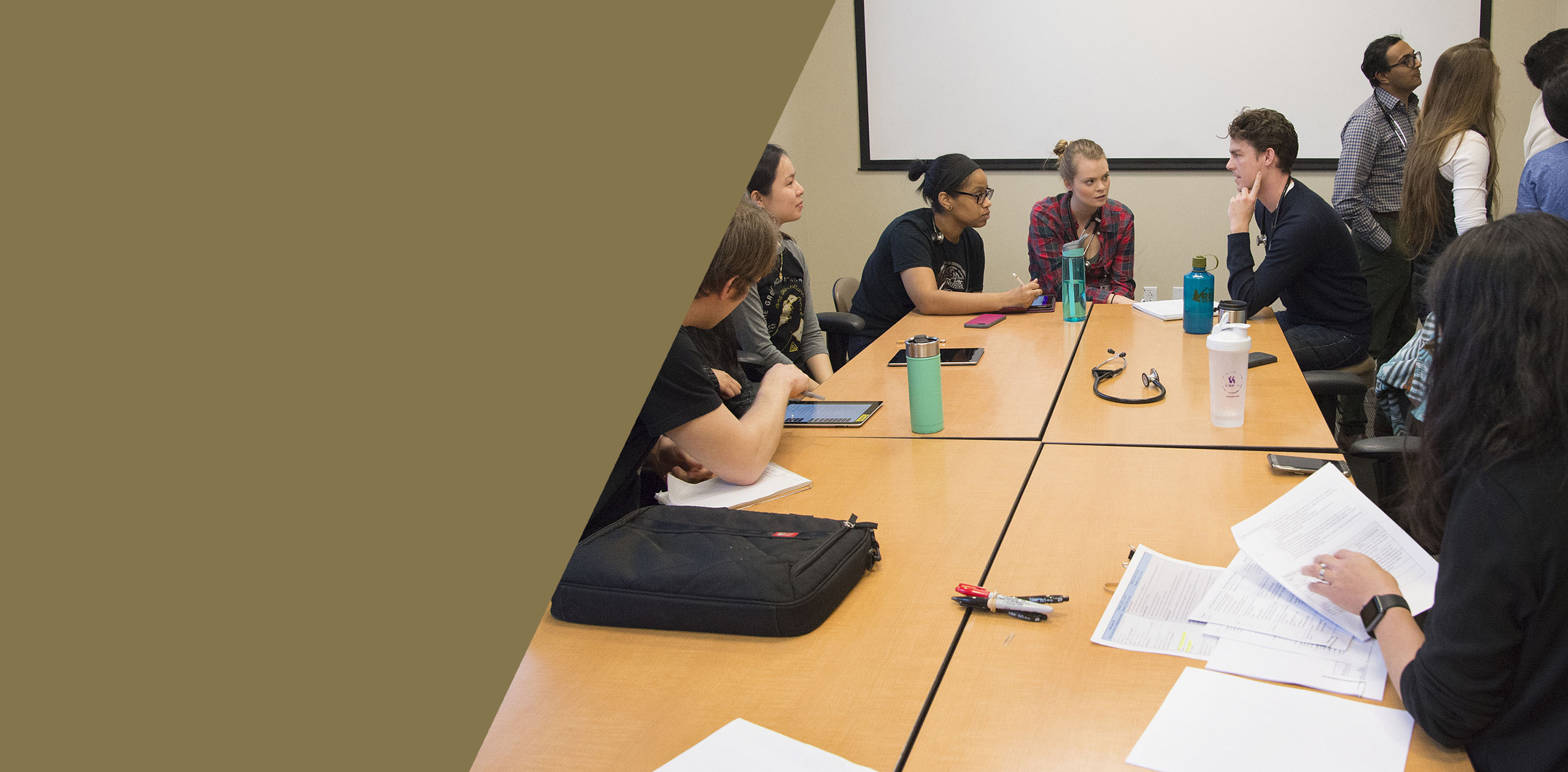 Student IPE<br/>Programs